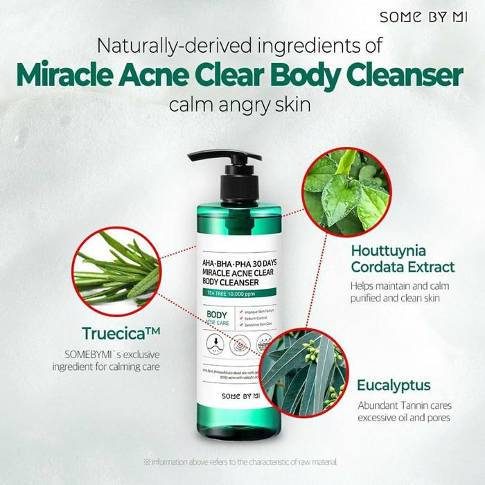 SOME BY MI Aha Bha Pha 30days Miracle Acne Clear Body Cleanser 400g